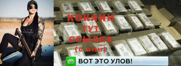 дмт Абаза