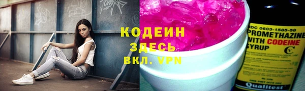 дмт Абаза