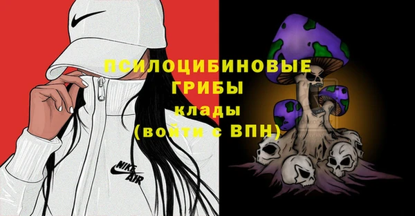 дмт Абаза