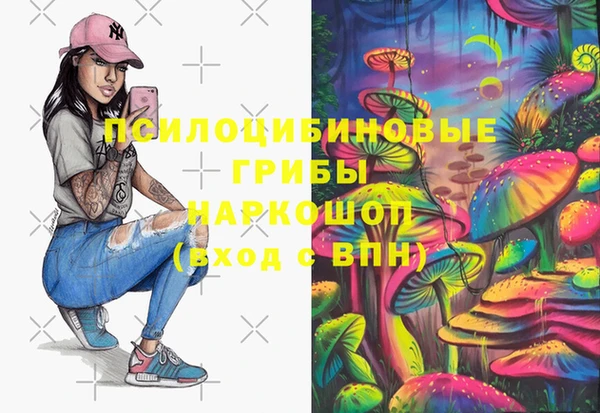 дмт Абаза
