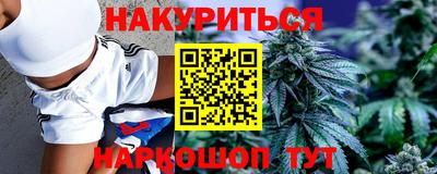 mdpv Заводоуковск
