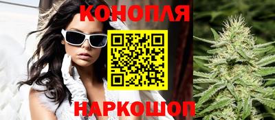 хмурый Тула