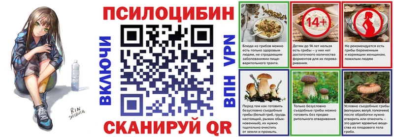 Псилоцибиновые грибы Psilocybine cubensis  MEGA tor  Россошь 