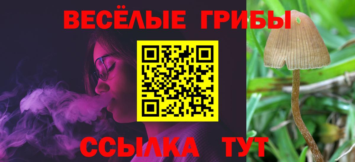 Галлюциногенные грибы GOLDEN TEACHER Россошь
